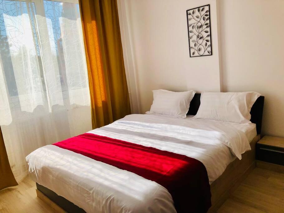 Joy City Stay Victoriei 7G-9 Temešvár Exteriér fotografie