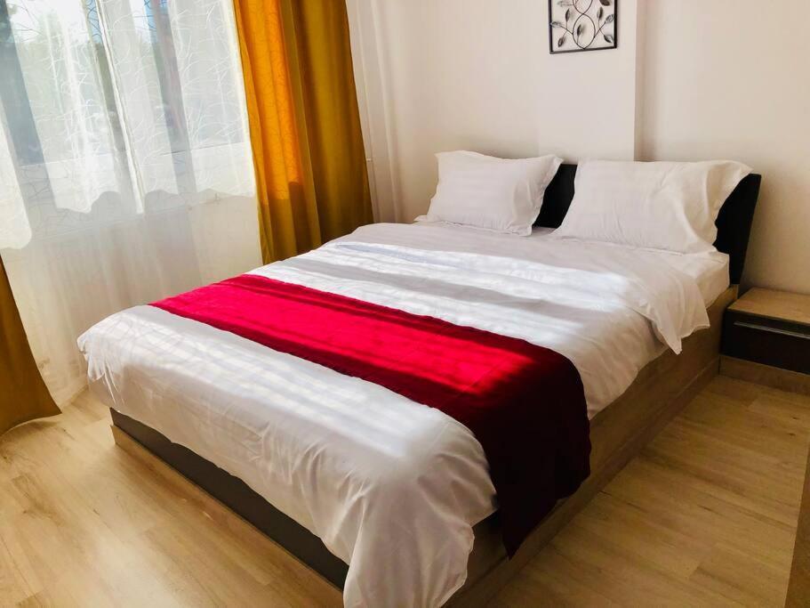 Joy City Stay Victoriei 7G-9 Temešvár Exteriér fotografie