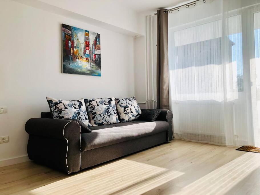 Joy City Stay Victoriei 7G-9 Temešvár Exteriér fotografie