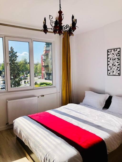 Joy City Stay Victoriei 7G-9 Temešvár Exteriér fotografie